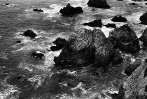Bodega Bay 2 by Emily Freeman