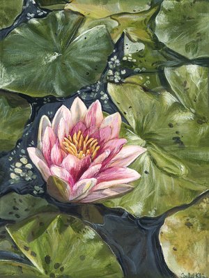 Water Lily by Isabel Klein (2025)