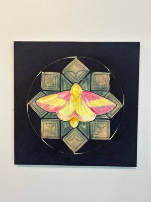 Maple moth  by Iona Fournier-Tombs (2026)
