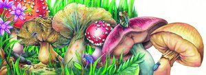 El Jardin by DAHLO .
