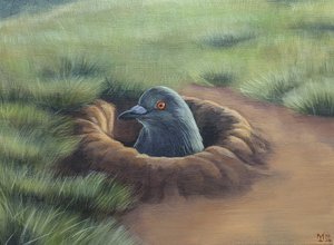 Michael Thomas — portfolio