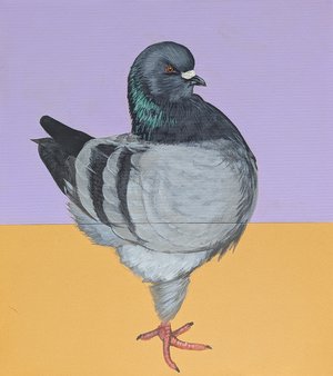 This isn't a phase, I am a chicken! by Michael Thomas (2024)