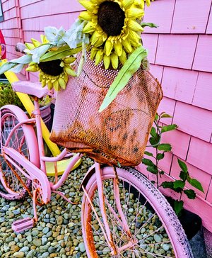 Tickled Pin by Janna Kimel (2025)