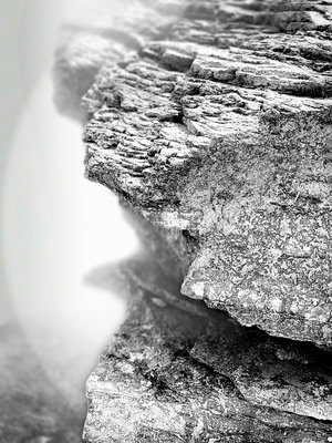 Carved, Ithaca by Fred Strobel