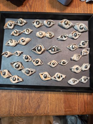 Tracey Balot