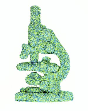 x 10 by Laura Johansen (2003)