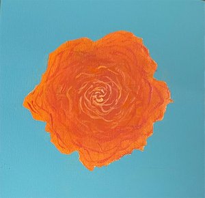 Carnation by Lily McCrory