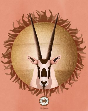 Arabian Wildlife collection  by Genevieve Staats (Ongoing collection )
