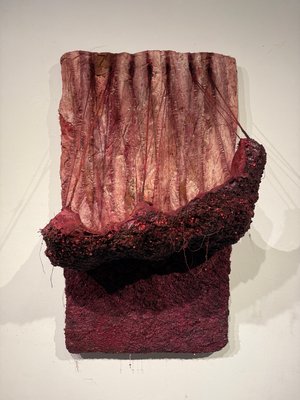 Strip Rind  by Declan Coyne