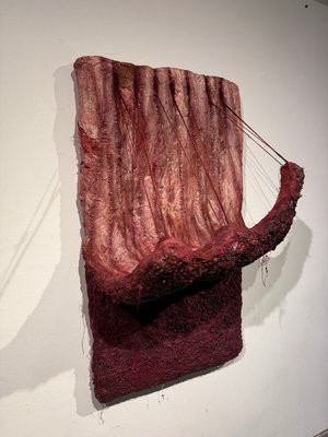 Strip Rind  by Declan Coyne