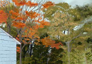 Outside My Window by Amaya Brown