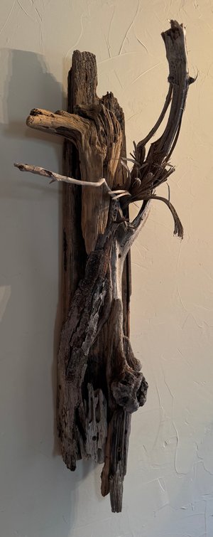 Monique Stanton — portfolio