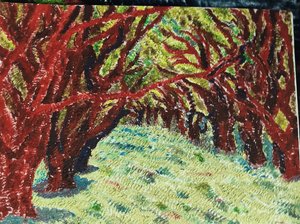 Forest  by Akhilesh Rawat