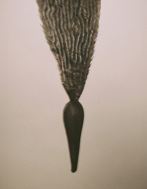 Nucleata Residua by Jack Chamberlain