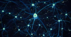 Neurons by Isabel Rollo