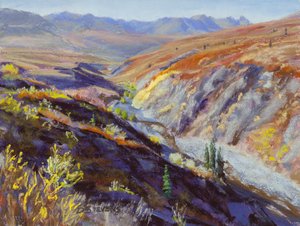 Donna Stevens