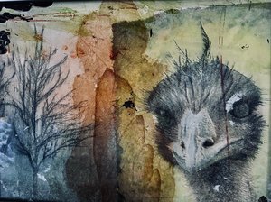 IMG_6863 Echoes of a Feather by Claudia McCabe