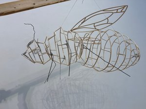 Ashlynn Johnson