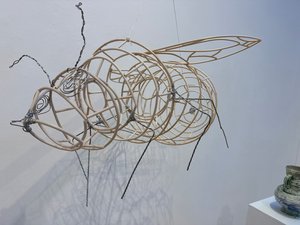 IMG_7967 by Ashlynn Johnson (2026)