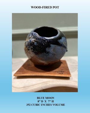Slide2 by Susan Delone (2026)