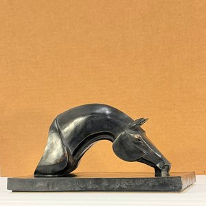 Instinct by Mohammad Ranjbarsadeghi (2014)