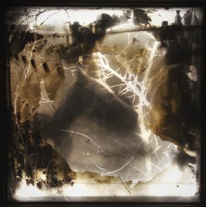 _MG_5625 (2) by Edward Batcheller (2024)