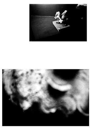 Evie-rose Holden — portfolio