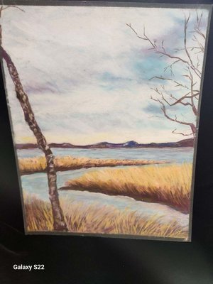 Inlet View by lisa toohey (2024)