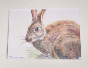 Bad Bunny by lisa toohey (2024)