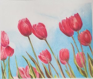 Spring by lisa toohey (2024)