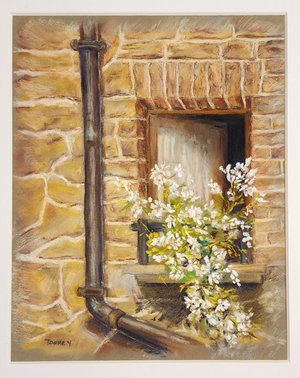 Pienza- So happy by lisa toohey (2025)