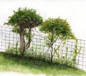 Marriage by Gene Barretta