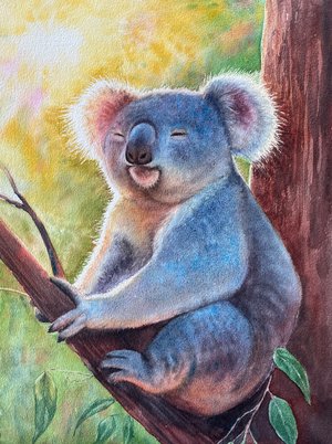 Koala Sunbathing by Larysa Juriga (2025)