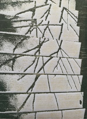 Habitat Fragmentation by Guillaume Allamel