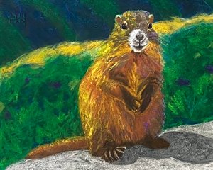 Olympic Marmot by Alisa Hasbrouck (2026)
