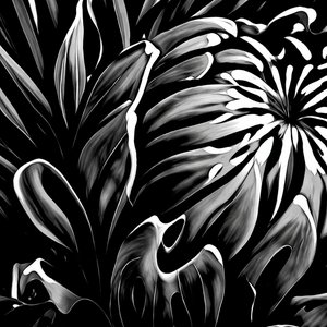 Flower Abstract by Steve Fogel (2026)