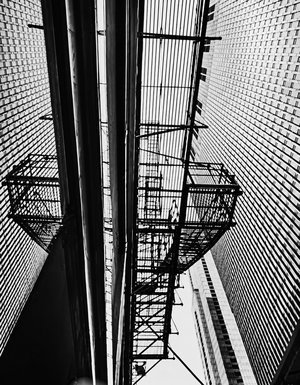 Vertical Labyrinth by Steve Fogel (2026)