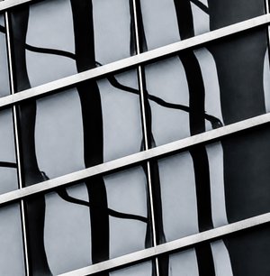  Reflected Order by Steve Fogel (2026)