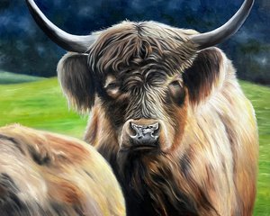 Highland cow by Rachael Ormond (2024)