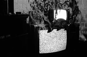 Television by Jack The Wolfman (2025)