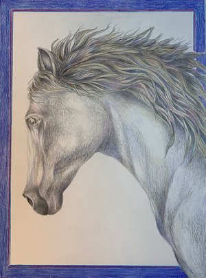 Fiercely Free by Katy Lynch (2025)