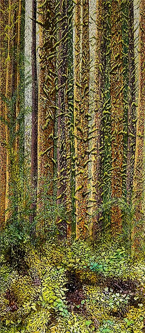 2Ilse_Goshen_TheEnchantingHo.jpg by Ilse Goshen