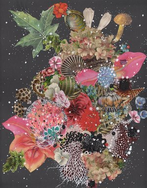 Jenny Brown — portfolio