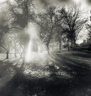 Breaking Dawn by La Muse Imparfaite Andrea Dávila