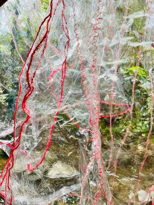 IMG_8657 by Rose Letulle (2026)