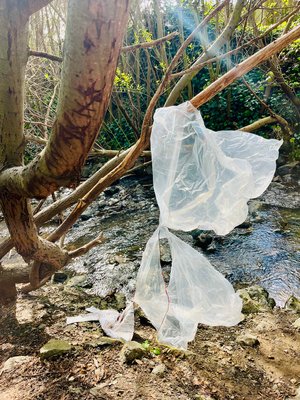 IMG_8767 by Rose Letulle (2026)