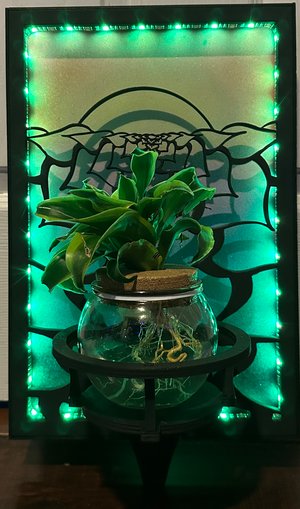 Plant Holder Sconce by Veronica Leon (2026)