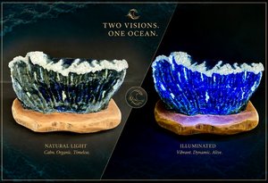 Two Visions, One Ocean by Karen Stern