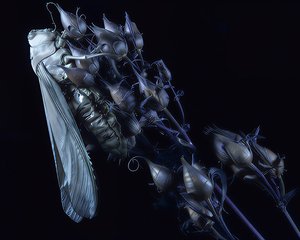Zombie Grasshopper_Photo_16x20x0.75_5lbs.jpeg by Terrence Fitzgerald (2026)