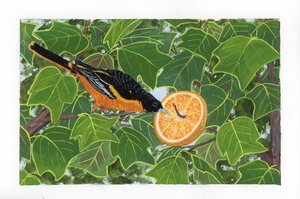 Oriole and Orange by Sarah Trott (2026)